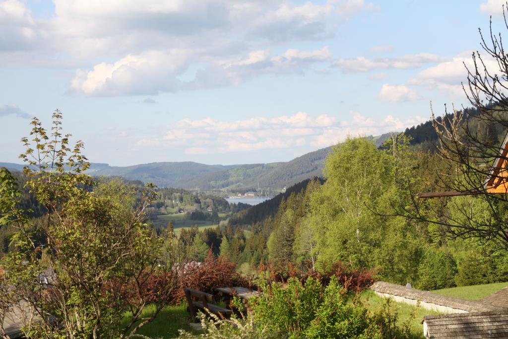 Hotel Adler Baerental Feldberg  Zewnętrze zdjęcie